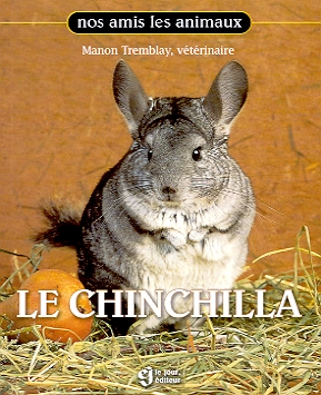 Le Chinchilla de Dre. Manon Tremblay, Becs et Museaux Val-d'Or